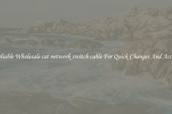 Reliable Wholesale cat network switch cable For Quick Changes And Access