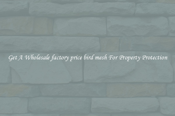 Get A Wholesale factory price bird mesh For Property Protection