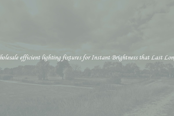 Wholesale efficient lighting fixtures for Instant Brightness that Last Longer