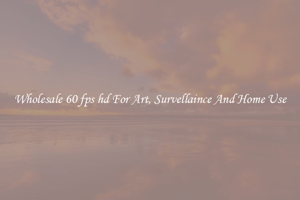 Wholesale 60 fps hd For Art, Survellaince And Home Use