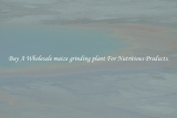 Buy A Wholesale maize grinding plant For Nutritious Products.