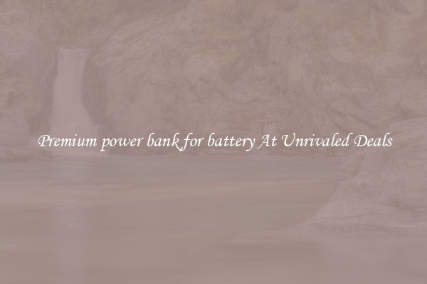Premium power bank for battery At Unrivaled Deals
