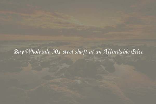 Buy Wholesale 301 steel shaft at an Affordable Price