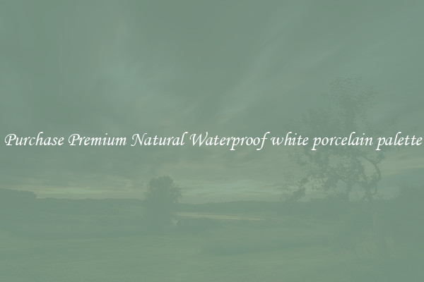 Purchase Premium Natural Waterproof white porcelain palette