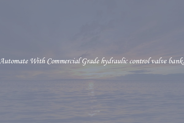 Automate With Commercial Grade hydraulic control valve banks