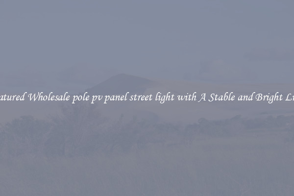 Featured Wholesale pole pv panel street light with A Stable and Bright Light