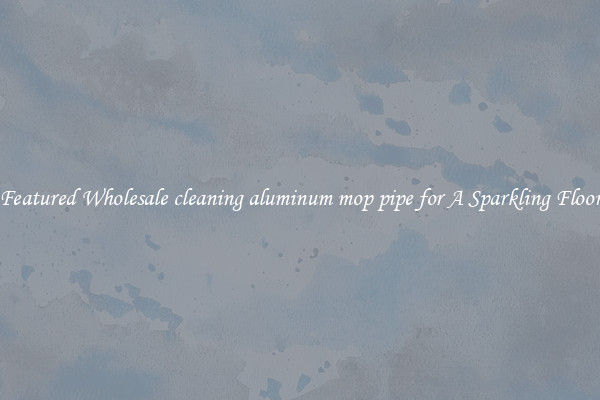 Featured Wholesale cleaning aluminum mop pipe for A Sparkling Floor