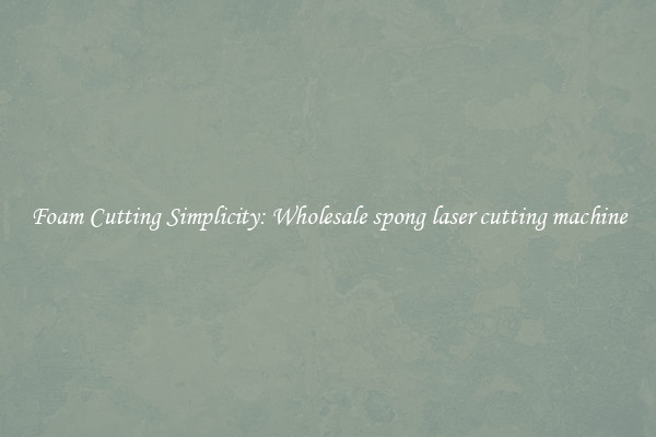 Foam Cutting Simplicity: Wholesale spong laser cutting machine