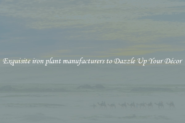 Exquisite iron plant manufacturers to Dazzle Up Your Décor 