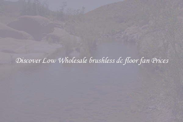 Discover Low Wholesale brushless dc floor fan Prices