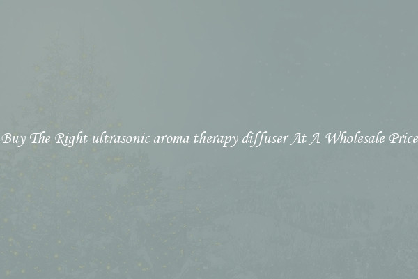 Buy The Right ultrasonic aroma therapy diffuser At A Wholesale Price