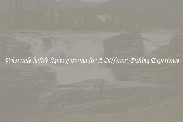 Wholesale halide lights growing for A Different Fishing Experience