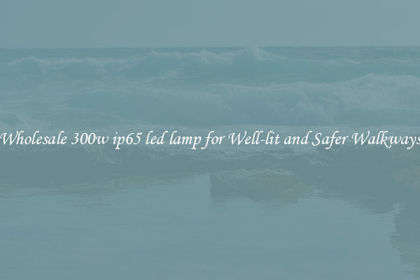 Wholesale 300w ip65 led lamp for Well-lit and Safer Walkways