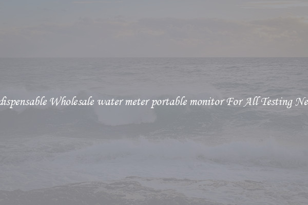 Indispensable Wholesale water meter portable monitor For All Testing Needs