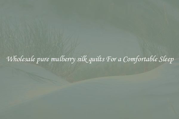 Wholesale pure mulberry silk quilts For a Comfortable Sleep