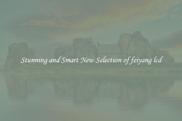 Stunning and Smart New Selection of feiyang lcd