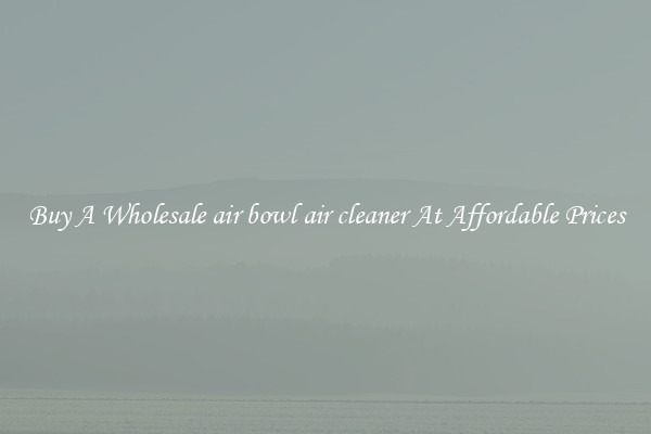Buy A Wholesale air bowl air cleaner At Affordable Prices