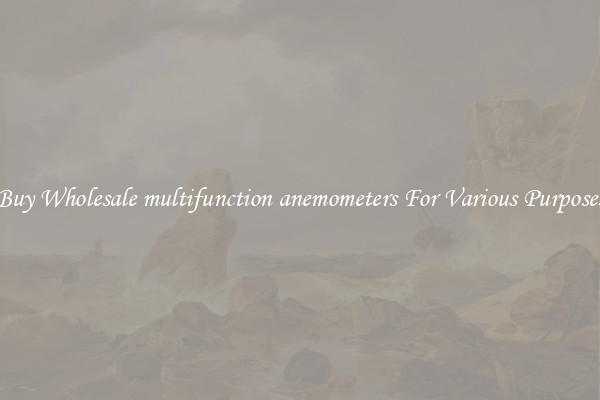 Buy Wholesale multifunction anemometers For Various Purposes