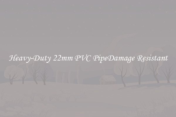 Heavy-Duty 22mm PVC PipeDamage Resistant