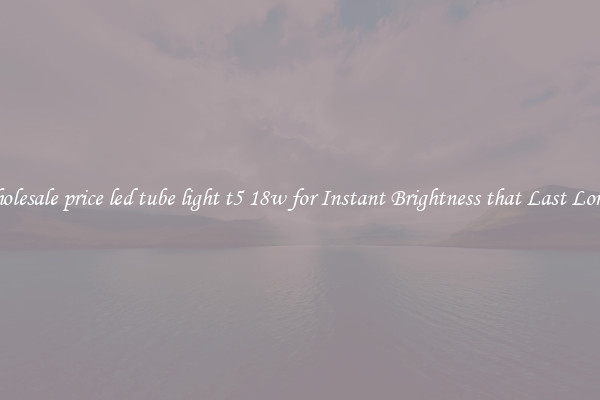 Wholesale price led tube light t5 18w for Instant Brightness that Last Longer