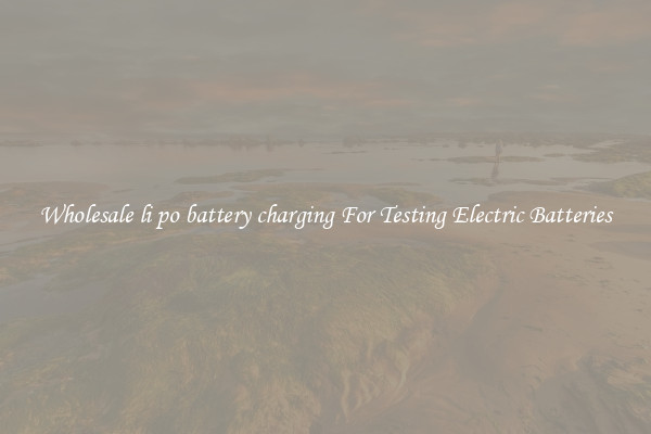 Wholesale li po battery charging For Testing Electric Batteries