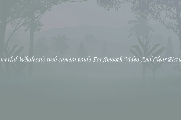 Powerful Wholesale web camera trade For Smooth Video And Clear Pictures