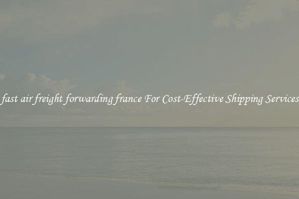 fast air freight forwarding france For Cost-Effective Shipping Services